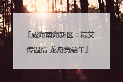 威海南海新区：粽艾传温情 龙舟竞端午