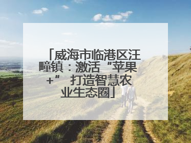 威海市临港区汪疃镇：激活“苹果+” 打造智慧农业生态圈