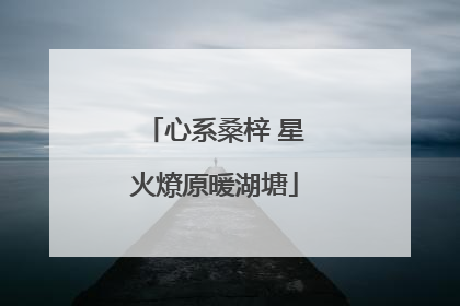 心系桑梓 星火燎原暖湖塘