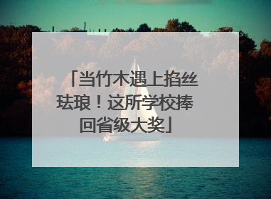 当竹木遇上掐丝珐琅！这所学校捧回省级大奖