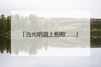 当光明遇上蚂蚁……