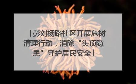 彭刘杨路社区开展危树清理行动，消除“头顶隐患”守护居民安全