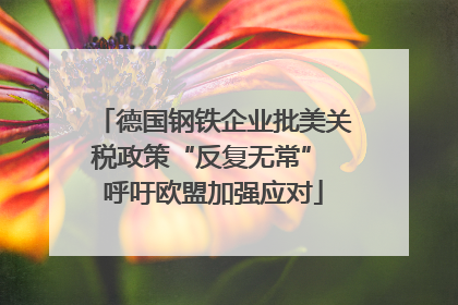 德国钢铁企业批美关税政策“反复无常” 呼吁欧盟加强应对