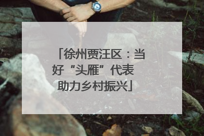 徐州贾汪区：当好“头雁”代表 助力乡村振兴
