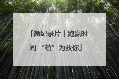 微纪录片丨跑赢时间 “植”为救你