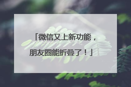微信又上新功能，朋友圈能折叠了！