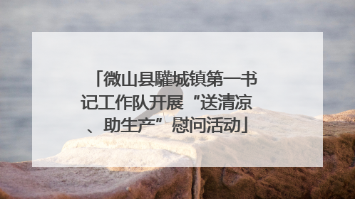 微山县驩城镇第一书记工作队开展“送清凉、助生产”慰问活动