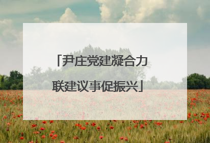 尹庄党建凝合力 联建议事促振兴