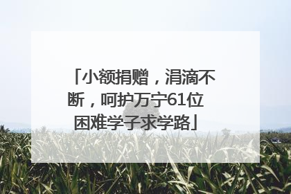 小额捐赠，涓滴不断，呵护万宁61位困难学子求学路