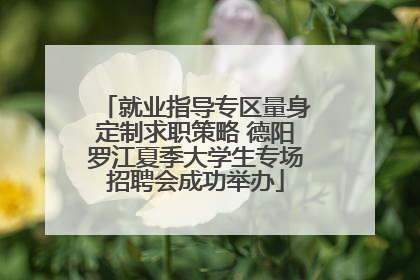 就业指导专区量身定制求职策略 德阳罗江夏季大学生专场招聘会成功举办