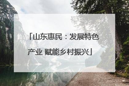 山东惠民：发展特色产业 赋能乡村振兴