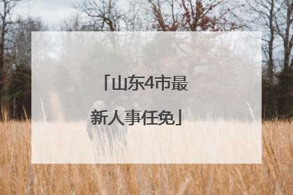 山东4市最新人事任免