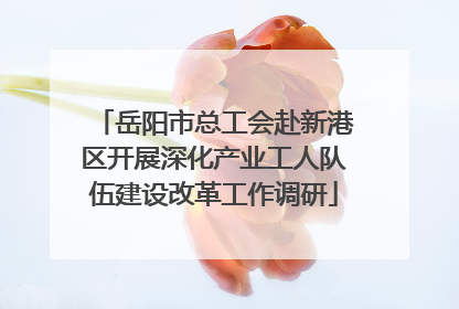 岳阳市总工会赴新港区开展深化产业工人队伍建设改革工作调研