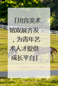 川音美术馆双展齐发，为青年艺术人才提供成长平台