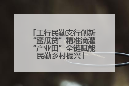 工行民勤支行创新“蜜瓜贷”精准滴灌“产业田”全链赋能民勤乡村振兴