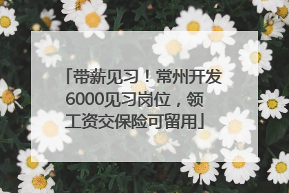 带薪见习！常州开发6000见习岗位，领工资交保险可留用