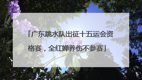 广东跳水队出征十五运会资格赛，全红婵养伤不参赛