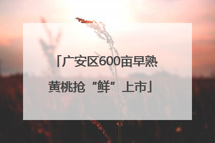 广安区600亩早熟黄桃抢“鲜”上市