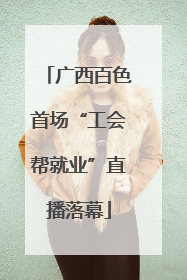 广西百色首场“工会帮就业”直播落幕