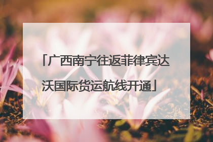 广西南宁往返菲律宾达沃国际货运航线开通
