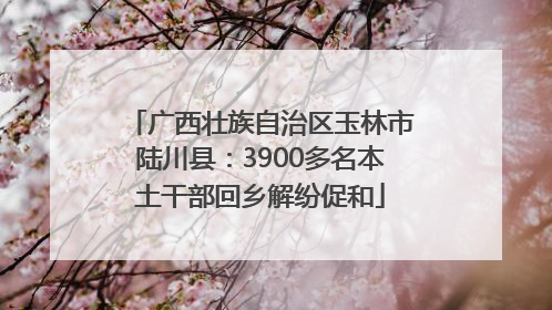 广西壮族自治区玉林市陆川县：3900多名本土干部回乡解纷促和