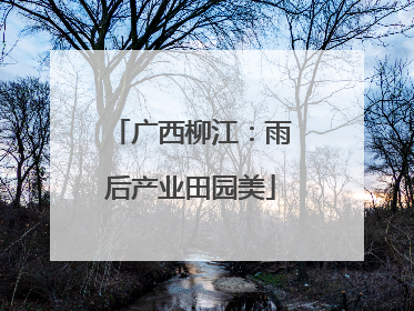 广西柳江：雨后产业田园美