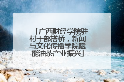广西财经学院驻村干部搭桥，新闻与文化传播学院赋能油茶产业振兴