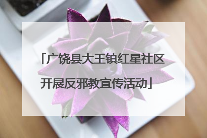 广饶县大王镇红星社区开展反邪教宣传活动