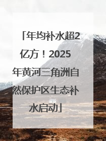 年均补水超2亿方！2025年黄河三角洲自然保护区生态补水启动