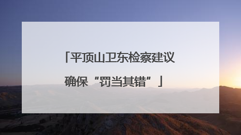 平顶山卫东检察建议确保“罚当其错”