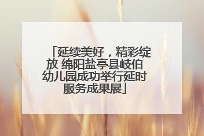 延续美好，精彩绽放 绵阳盐亭县岐伯幼儿园成功举行延时服务成果展
