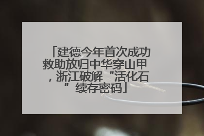 建德今年首次成功救助放归中华穿山甲，浙江破解“活化石”续存密码