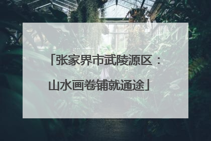 张家界市武陵源区：山水画卷铺就通途