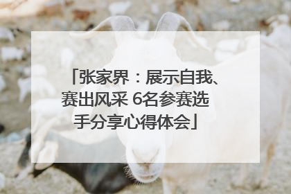 张家界：展示自我、赛出风采 6名参赛选手分享心得体会