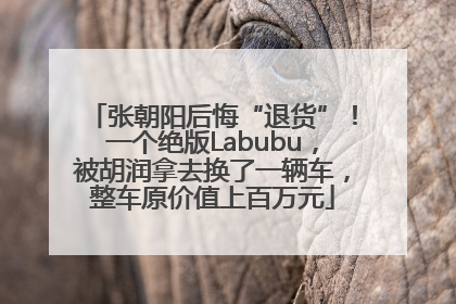 张朝阳后悔“退货”！一个绝版Labubu，被胡润拿去换了一辆车，整车原价值上百万元