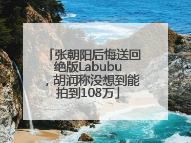 张朝阳后悔送回绝版Labubu，胡润称没想到能拍到108万