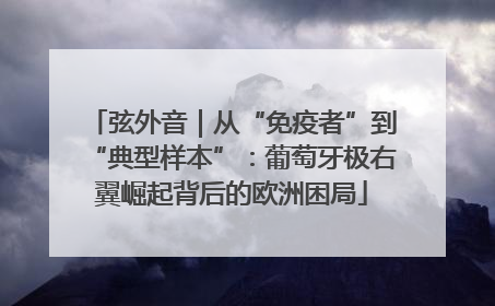 弦外音｜从“免疫者”到“典型样本”：葡萄牙极右翼崛起背后的欧洲困局