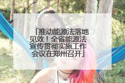 推动能源法落地见效！全省能源法宣传贯彻实施工作会议在郑州召开