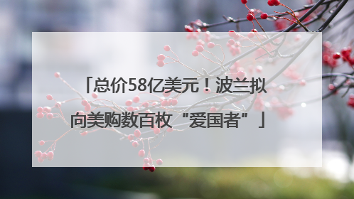 总价58亿美元！波兰拟向美购数百枚“爱国者”