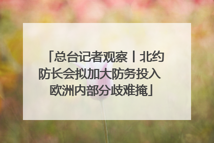 总台记者观察丨北约防长会拟加大防务投入 欧洲内部分歧难掩