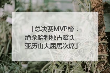 总决赛MVP榜：绝杀哈利独占鳌头 亚历山大屈居次席