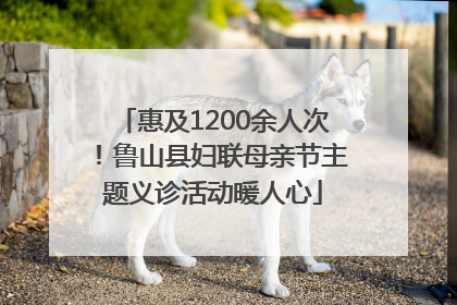 惠及1200余人次！鲁山县妇联母亲节主题义诊活动暖人心