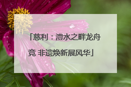 慈利：澧水之畔龙舟竞 非遗焕新展风华