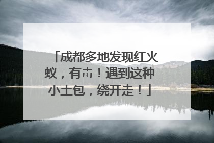 成都多地发现红火蚁，有毒！遇到这种小土包，绕开走！