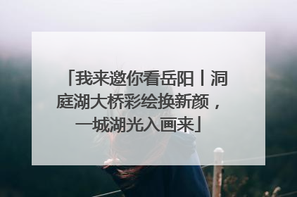 我来邀你看岳阳丨洞庭湖大桥彩绘换新颜，一城湖光入画来