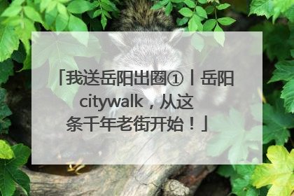 我送岳阳出圈①丨岳阳citywalk，从这条千年老街开始！