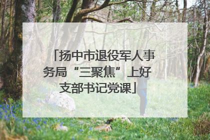 扬中市退役军人事务局“三聚焦”上好支部书记党课