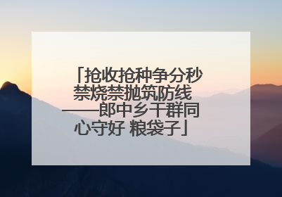 抢收抢种争分秒 禁烧禁抛筑防线——郎中乡干群同心守好 粮袋子