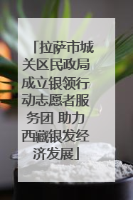 拉萨市城关区民政局成立银领行动志愿者服务团 助力西藏银发经济发展