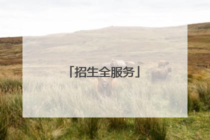 招生全服务